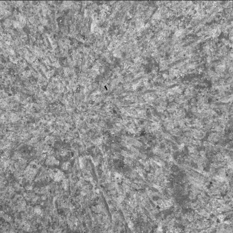 This image was taken by SHERLOC_WATSON onboard NASA's Mars rover Perseverance on Sol 1821