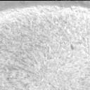 View image taken on Mars, Mars Perseverance Sol 1822: Right Mastcam-Z Camera