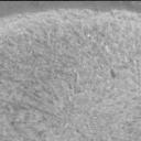 View image taken on Mars, Mars Perseverance Sol 1822: Right Mastcam-Z Camera