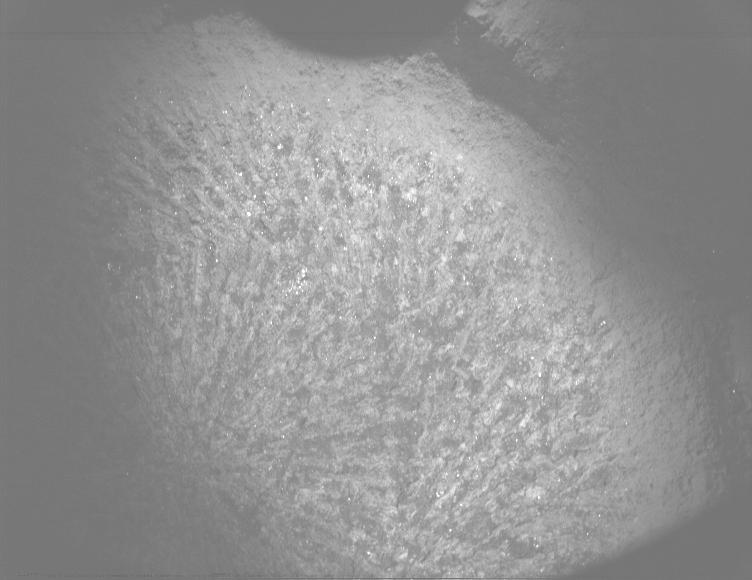 This image was taken by PIXL_MCC onboard NASA's Mars rover Perseverance on Sol 1824