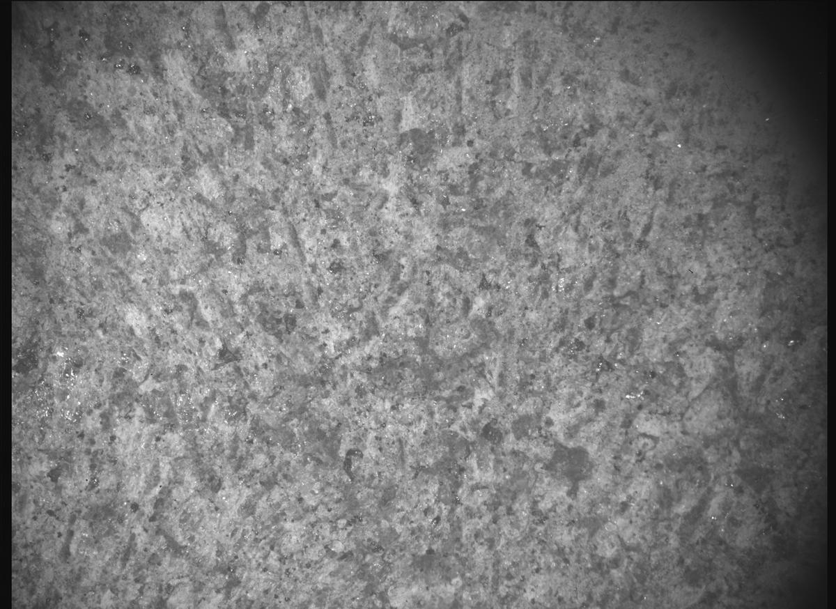 This image was taken by SHERLOC_ACI onboard NASA's Mars rover Perseverance on Sol 1824