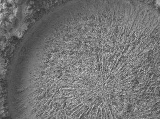 View image taken on Mars, Mars Perseverance Sol 1824: WATSON Camera 