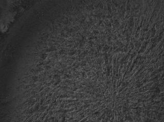View image taken on Mars, Mars Perseverance Sol 1824: WATSON Camera 