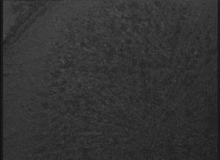 View image taken on Mars, Mars Perseverance Sol 1824: WATSON Camera 