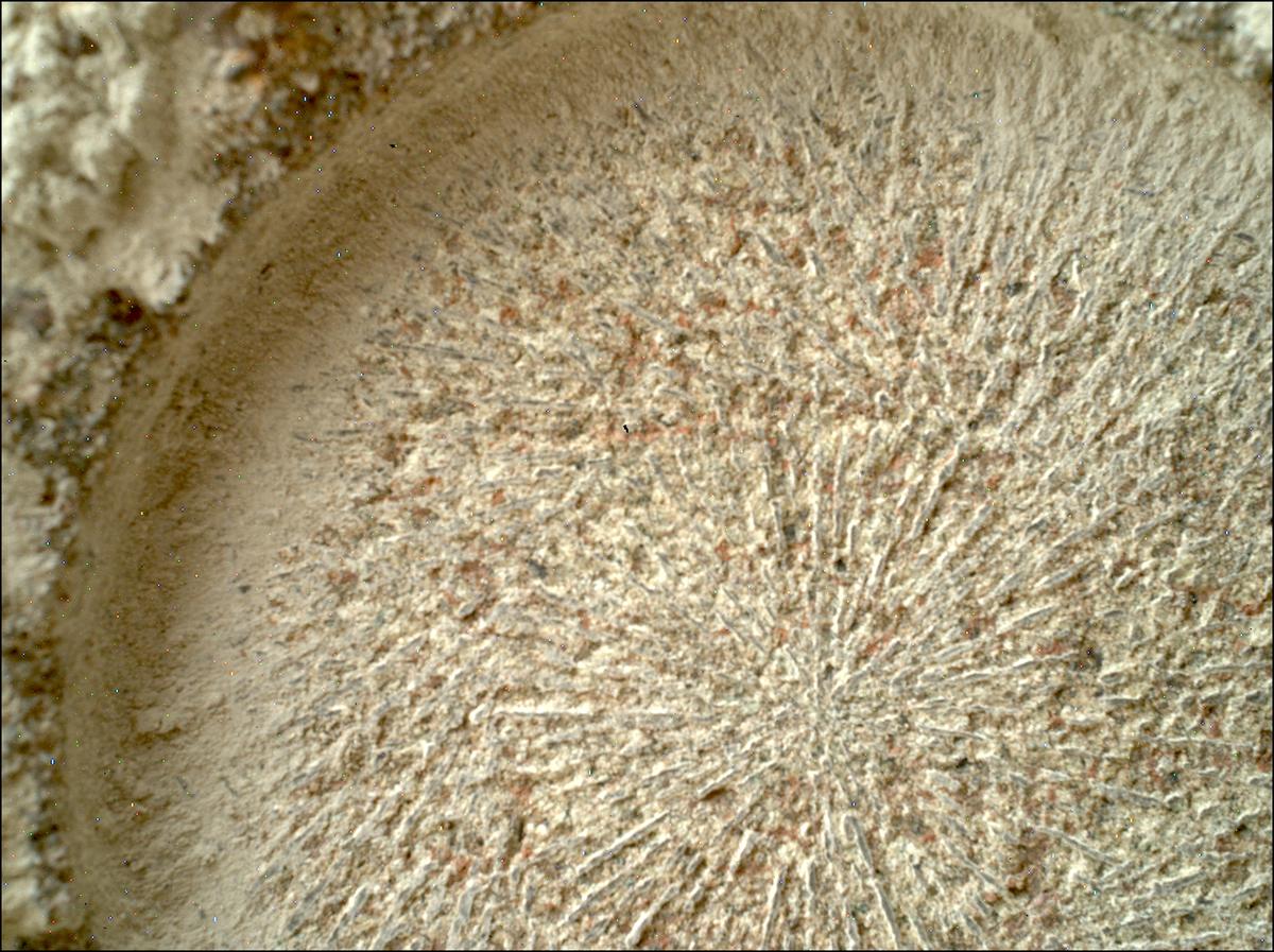 This image was taken by SHERLOC_WATSON onboard NASA's Mars rover Perseverance on Sol 1824