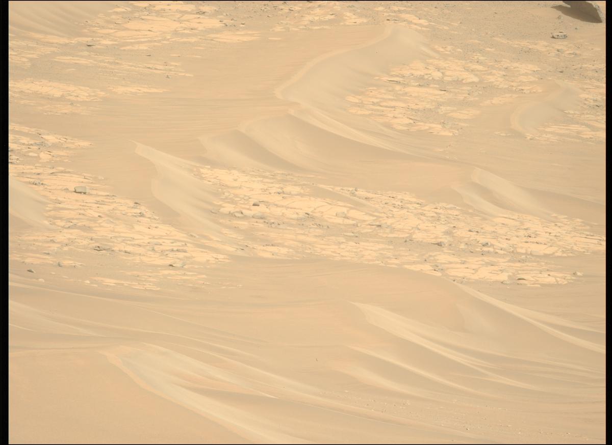 This image was taken by MCZ_LEFT onboard NASA's Mars rover Perseverance on Sol 1825