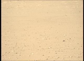 View image taken on Mars, Mars Perseverance Sol 1825: Left Mastcam-Z Camera