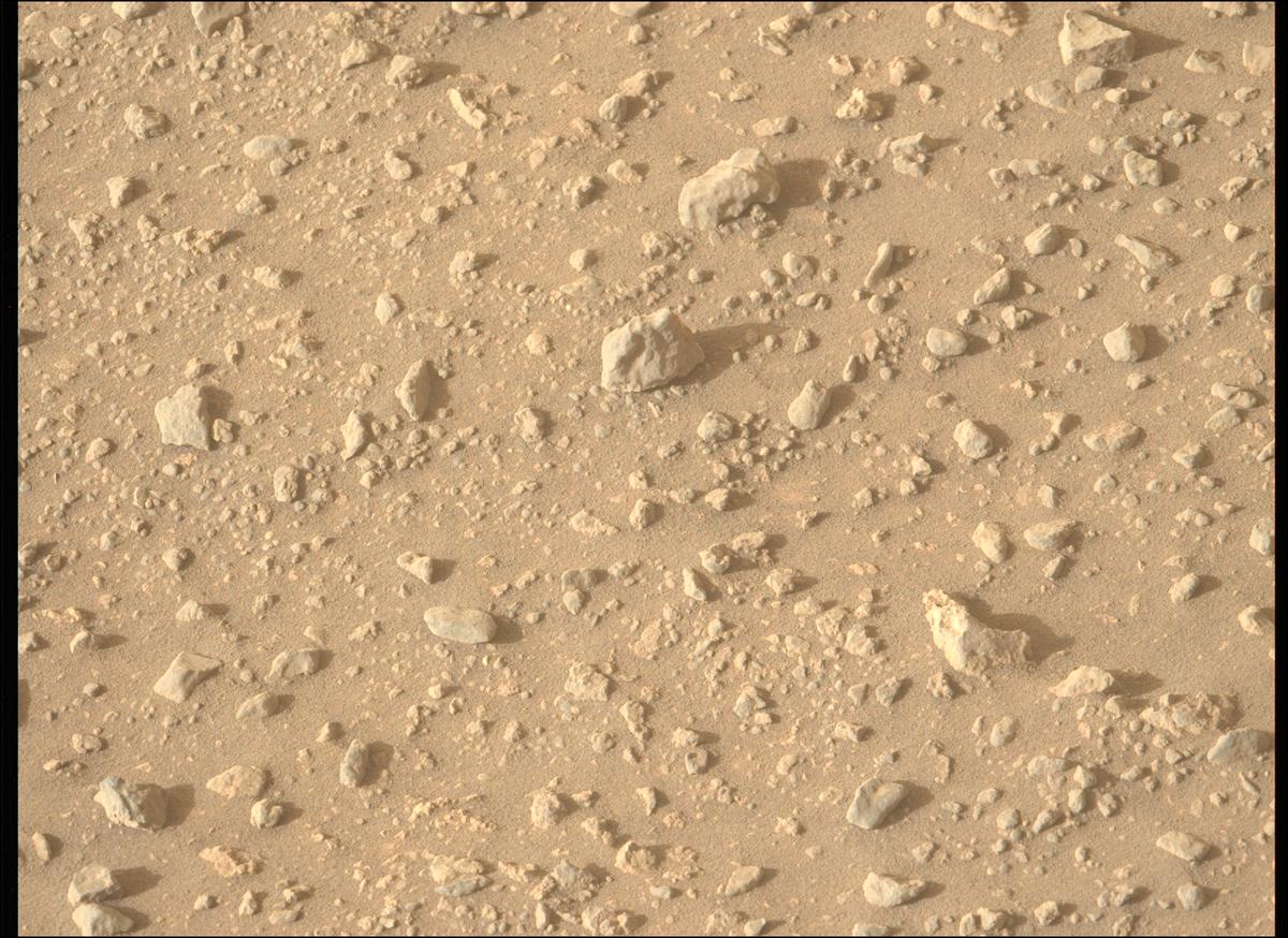 This image was taken by MCZ_LEFT onboard NASA's Mars rover Perseverance on Sol 1835