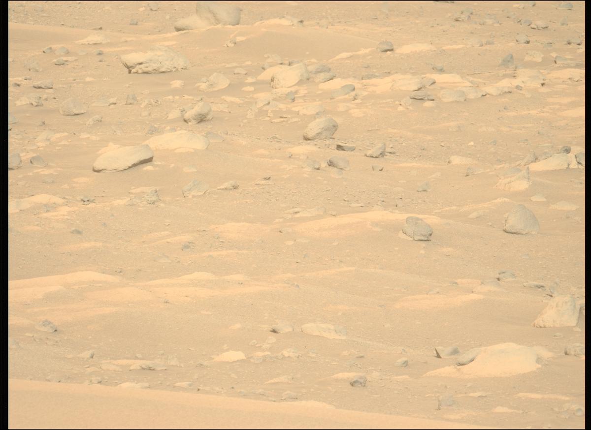 This image was taken by MCZ_LEFT onboard NASA's Mars rover Perseverance on Sol 1837