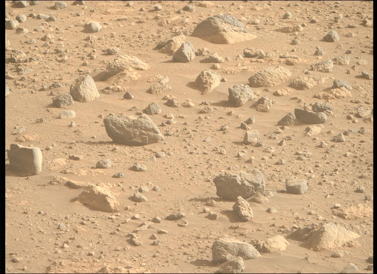 This image was taken by MCZ_RIGHT onboard NASA's Mars rover Perseverance on Sol 1841