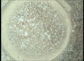 View image taken on Mars, Mars Perseverance Sol 1844: WATSON Camera 