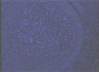 View image taken on Mars, Mars Perseverance Sol 1844: WATSON Camera 