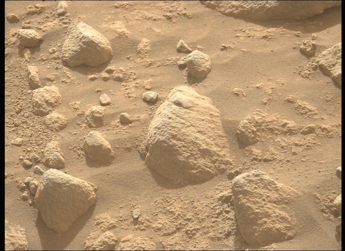 This image was taken by MCZ_LEFT onboard NASA's Mars rover Perseverance on Sol 1844