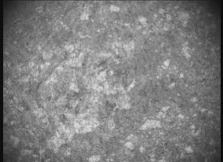 View image taken on Mars, Mars Perseverance Sol 1846: SHERLOC ACI Camera 