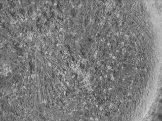 View image taken on Mars, Mars Perseverance Sol 1846: WATSON Camera 