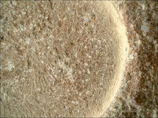 View image taken on Mars, Mars Perseverance Sol 1846: WATSON Camera 