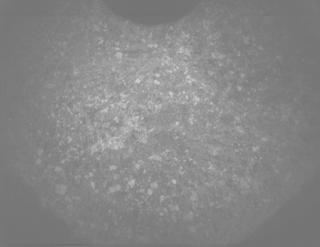 View image taken on Mars, Mars Perseverance Sol 1847: PIXL Camera 