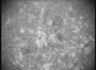 View image taken on Mars, Mars Perseverance Sol 1848: SHERLOC ACI Camera 