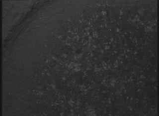 View image taken on Mars, Mars Perseverance Sol 1848: WATSON Camera 
