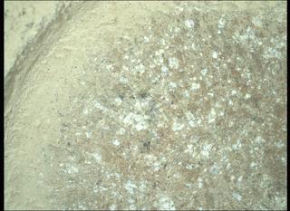 View image taken on Mars, Mars Perseverance Sol 1848: WATSON Camera 