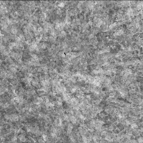 This image was taken by SHERLOC_WATSON onboard NASA's Mars rover Perseverance on Sol 1851