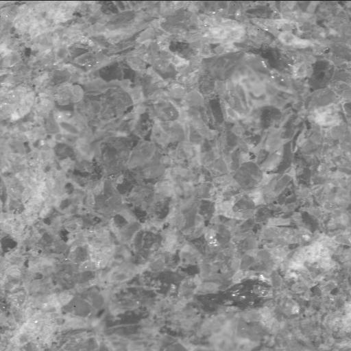 This image was taken by SHERLOC_ACI onboard NASA's Mars rover Perseverance on Sol 1853
