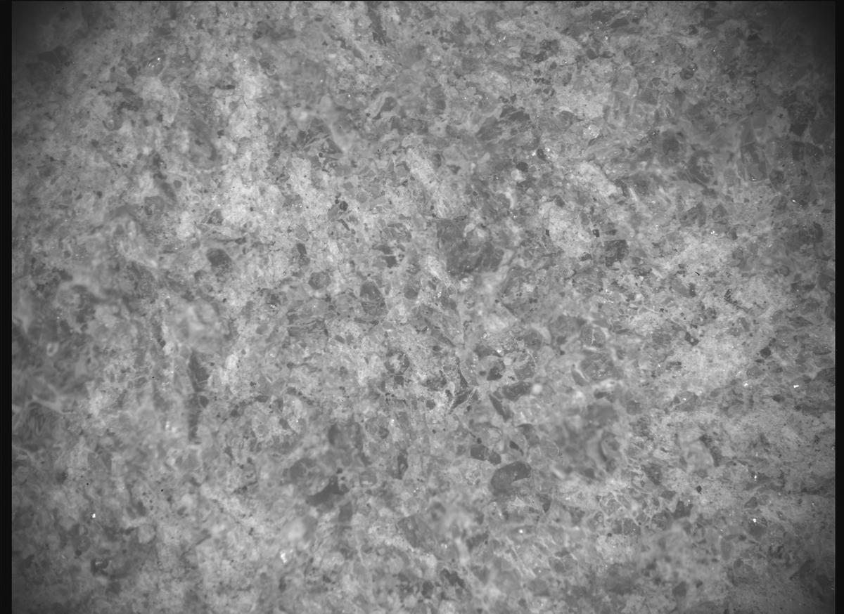This image was taken by SHERLOC_ACI onboard NASA's Mars rover Perseverance on Sol 1855