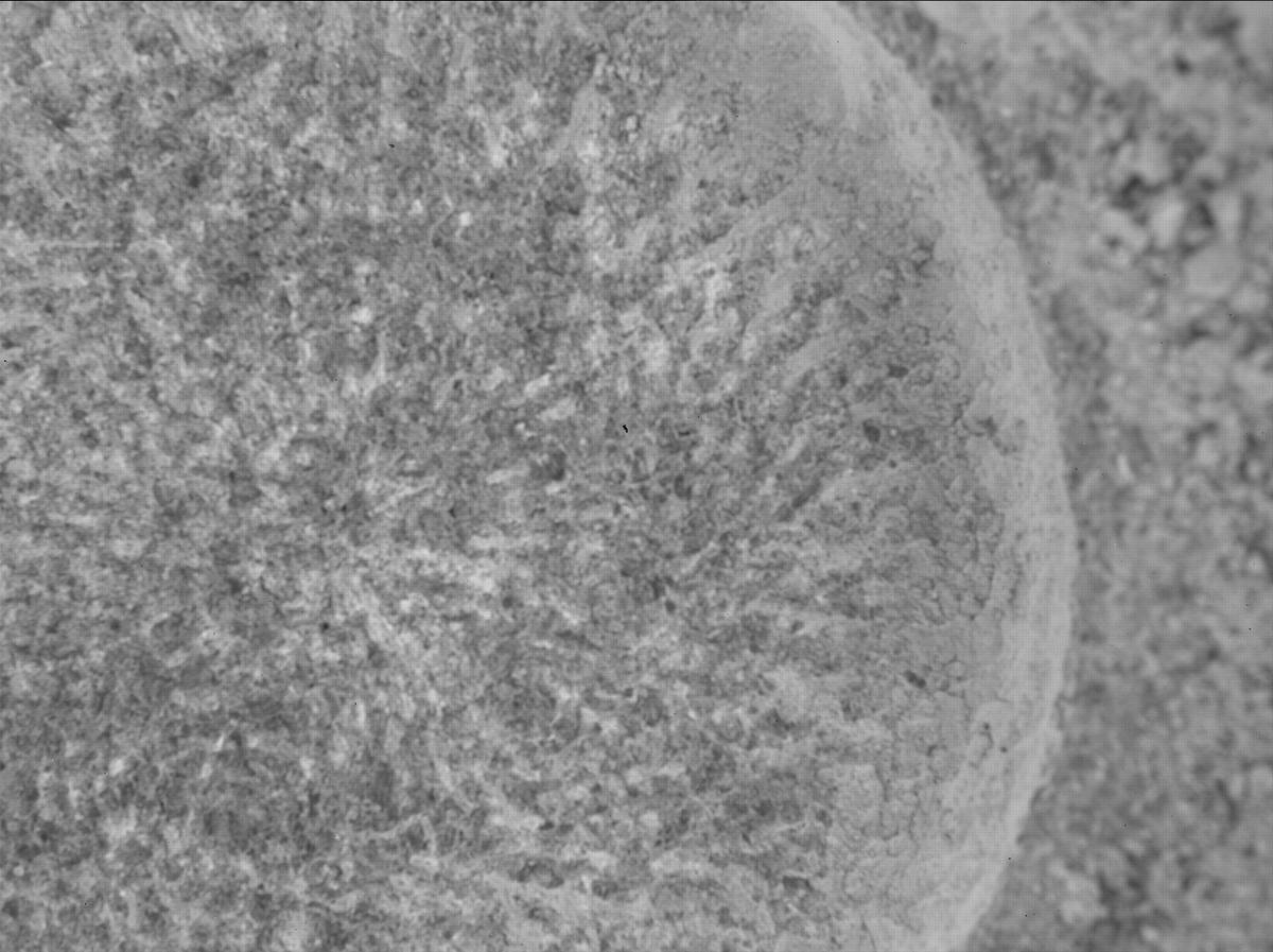 This image was taken by SHERLOC_WATSON onboard NASA's Mars rover Perseverance on Sol 1855