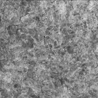 View image taken on Mars, Mars Perseverance Sol 1855: WATSON Camera 