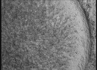 View image taken on Mars, Mars Perseverance Sol 1855: WATSON Camera 