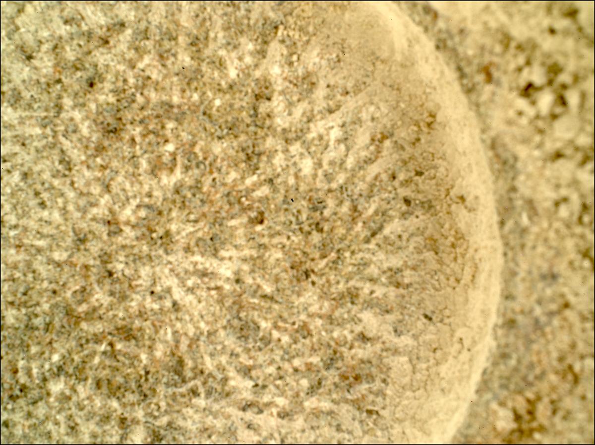 This image was taken by SHERLOC_WATSON onboard NASA's Mars rover Perseverance on Sol 1855