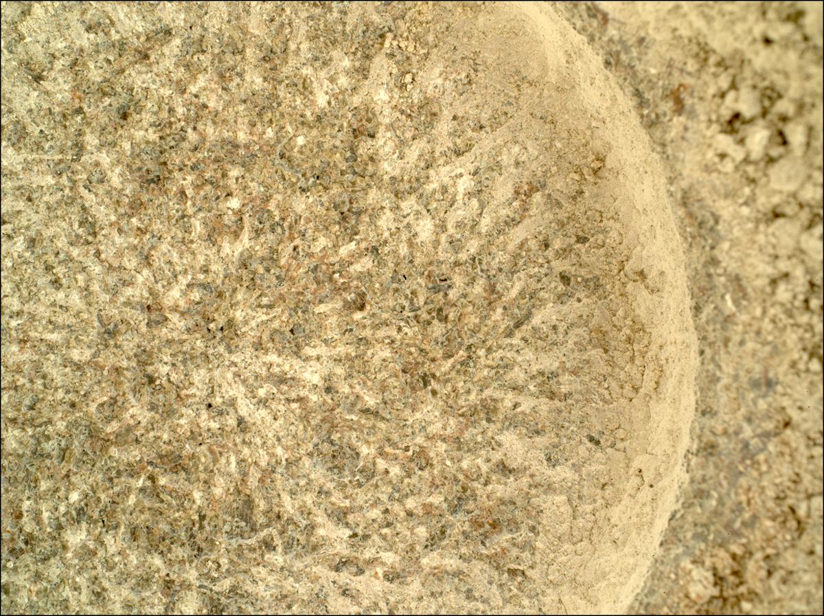 This image was taken by SHERLOC_WATSON onboard NASA's Mars rover Perseverance on Sol 1855