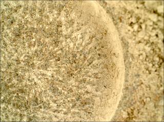 View image taken on Mars, Mars Perseverance Sol 1855: WATSON Camera 