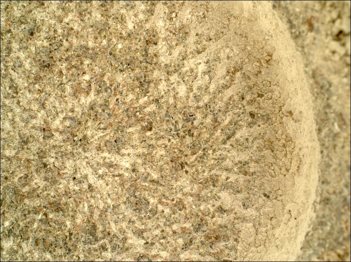 This image was taken by SHERLOC_WATSON onboard NASA's Mars rover Perseverance on Sol 1855