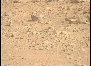 View image taken on Mars, Mars Perseverance Sol 1865: Right Mastcam-Z Camera