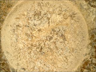 View image taken on Mars, Mars Perseverance Sol 1870: WATSON Camera 