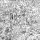 This image was taken by MCZ_LEFT onboard NASA's Mars rover Perseverance on Sol 1871