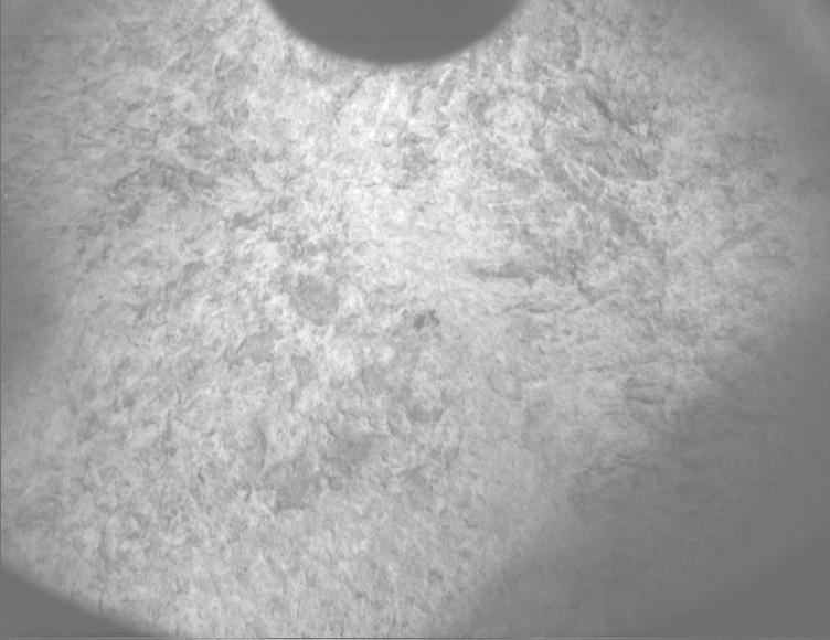 This image was taken by PIXL_MCC onboard NASA's Mars rover Perseverance on Sol 1872