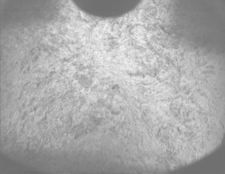 This image was taken by PIXL_MCC onboard NASA's Mars rover Perseverance on Sol 1872