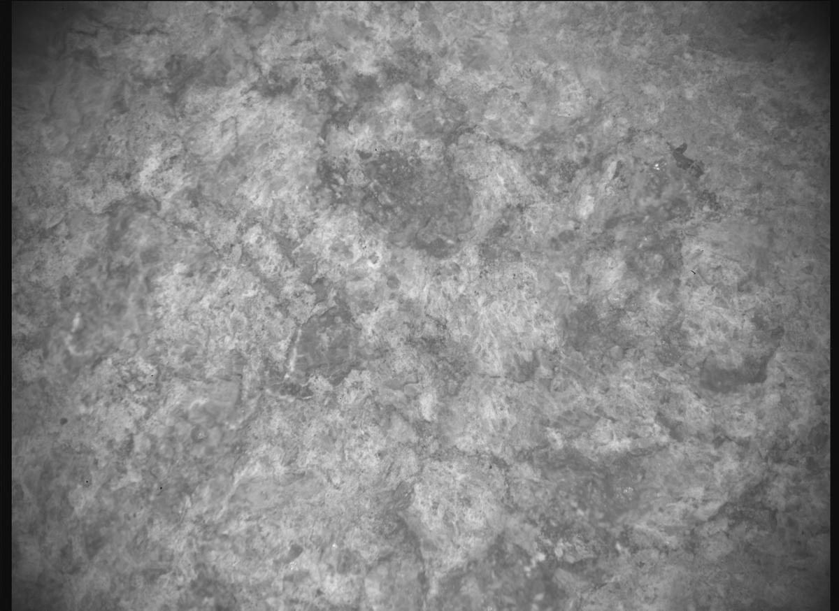 This image was taken by SHERLOC_ACI onboard NASA's Mars rover Perseverance on Sol 1872