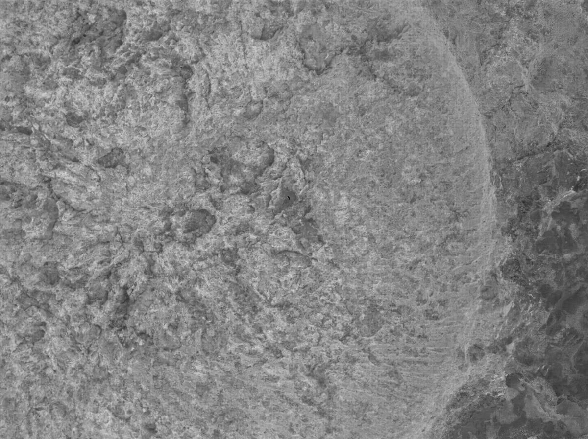 This image was taken by SHERLOC_WATSON onboard NASA's Mars rover Perseverance on Sol 1872