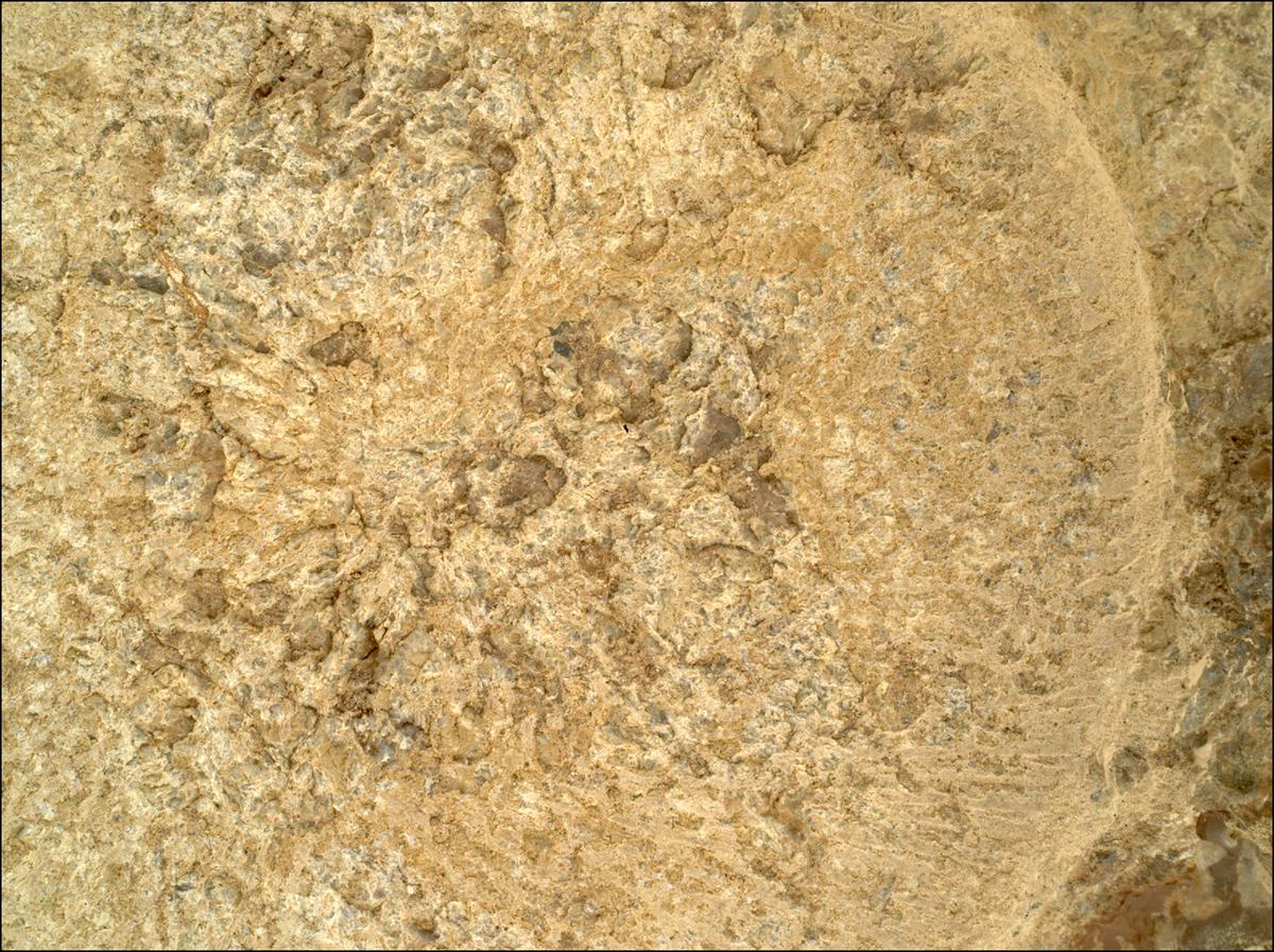This image was taken by SHERLOC_WATSON onboard NASA's Mars rover Perseverance on Sol 1872