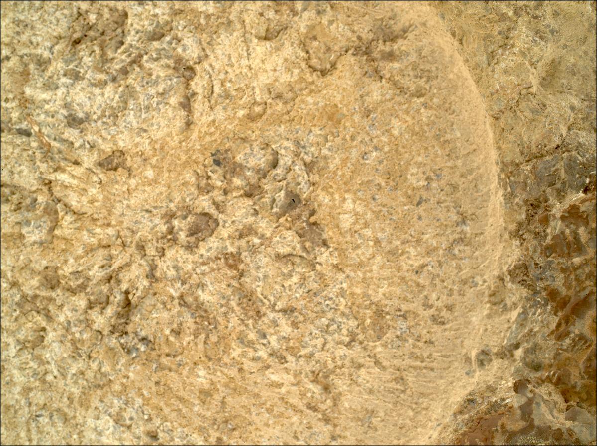 This image was taken by SHERLOC_WATSON onboard NASA's Mars rover Perseverance on Sol 1872