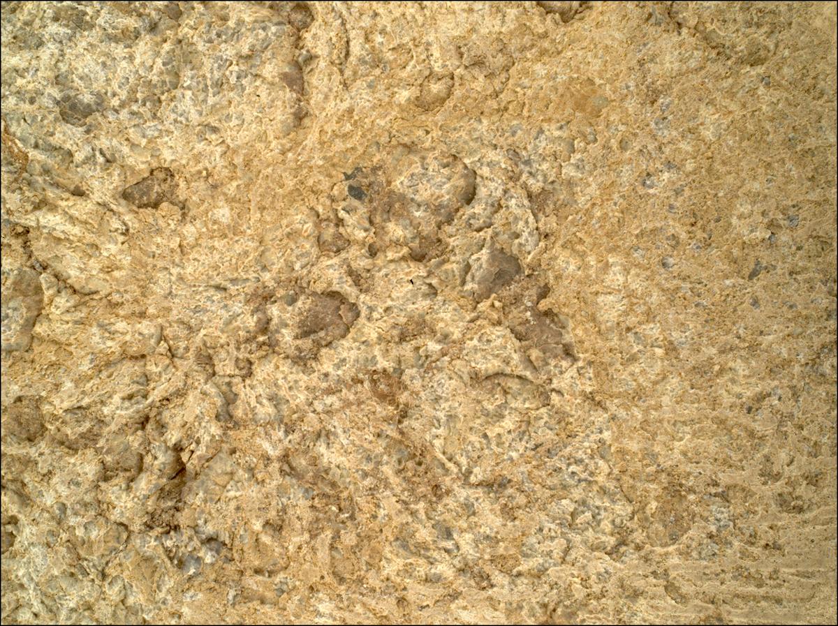 This image was taken by SHERLOC_WATSON onboard NASA's Mars rover Perseverance on Sol 1872