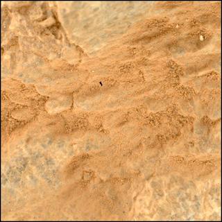 View image taken on Mars, Mars Perseverance Sol 1873: WATSON Camera 