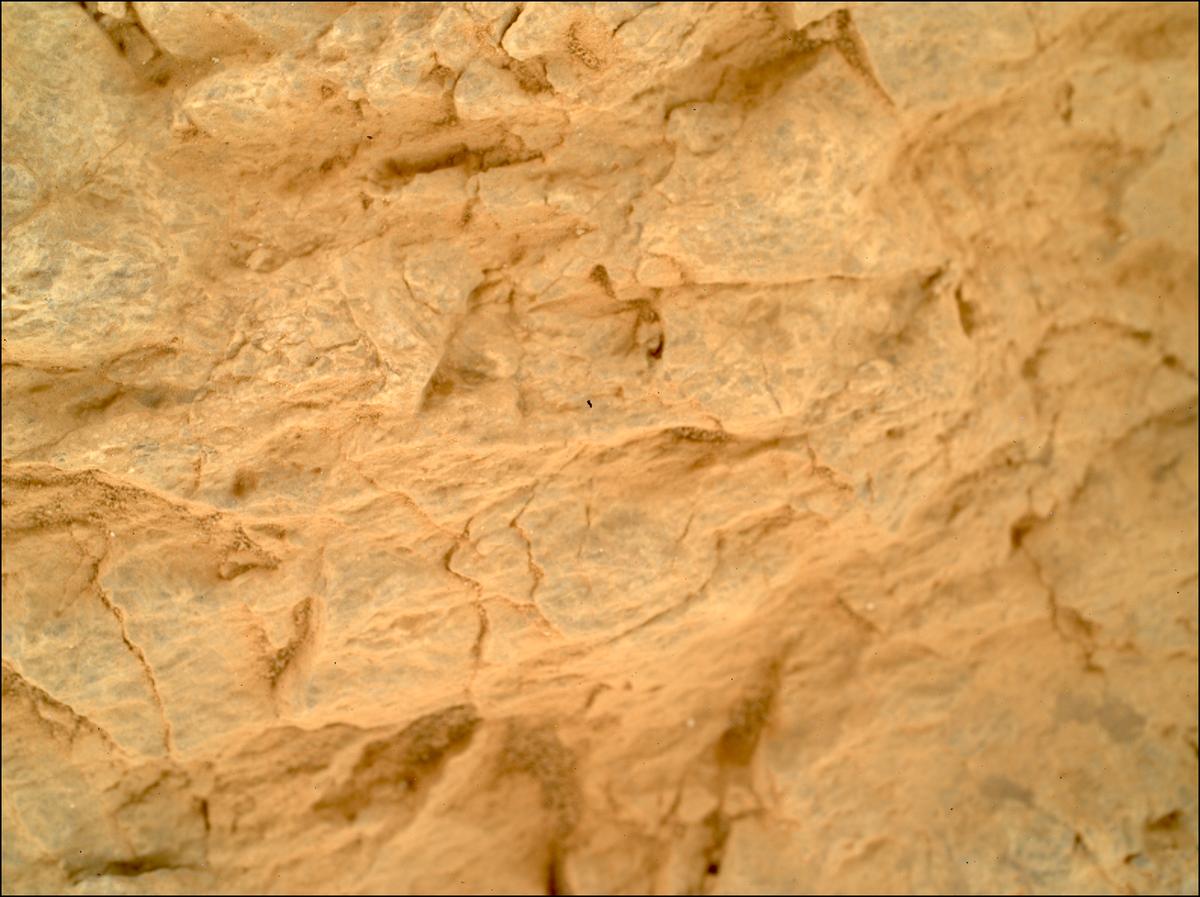 This image was taken by SHERLOC_WATSON onboard NASA's Mars rover Perseverance on Sol 1873