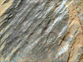 View image taken on Mars, Mars Perseverance Sol 1879: WATSON Camera 