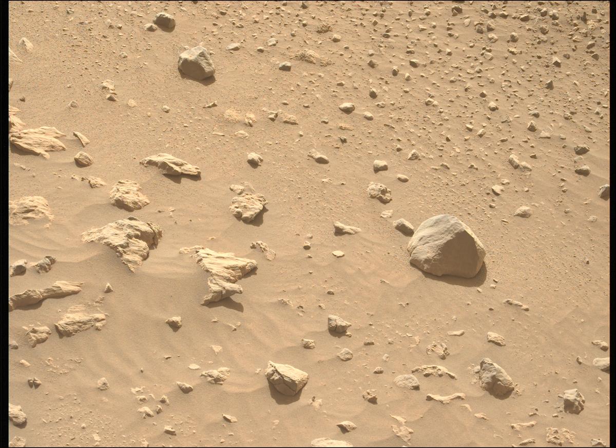 This image was taken by MCZ_LEFT onboard NASA's Mars rover Perseverance on Sol 1879