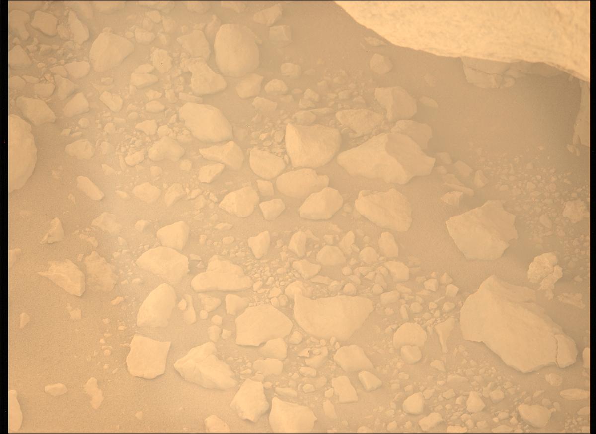 This image was taken by MCZ_LEFT onboard NASA's Mars rover Perseverance on Sol 1879