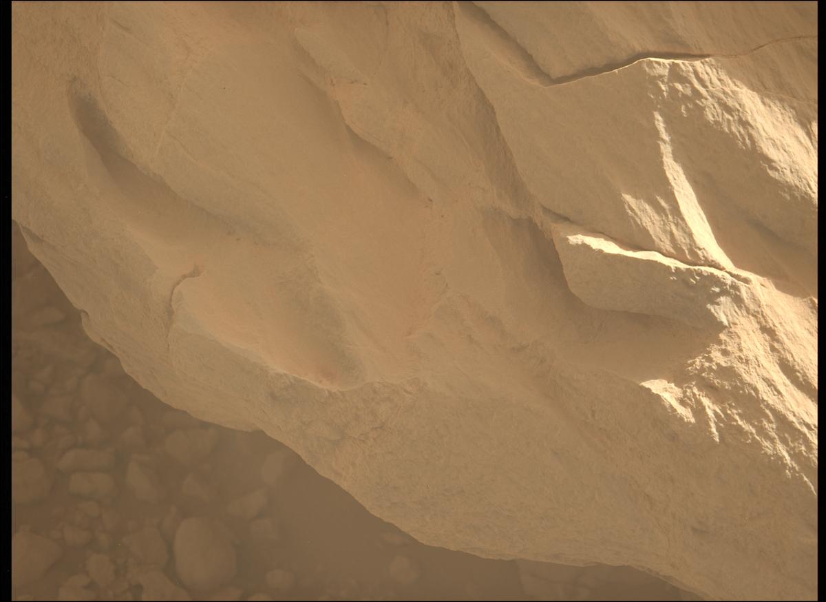 This image was taken by MCZ_LEFT onboard NASA's Mars rover Perseverance on Sol 1879